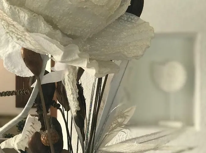 Holiday home Ca S'hereu